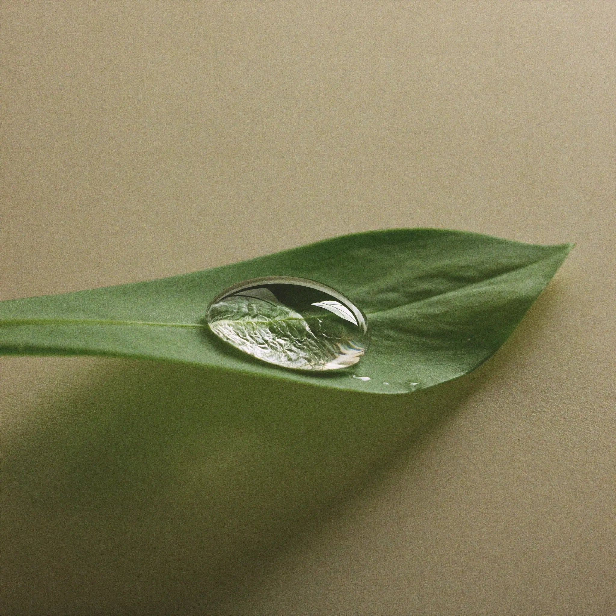 Hyaluronic acid
